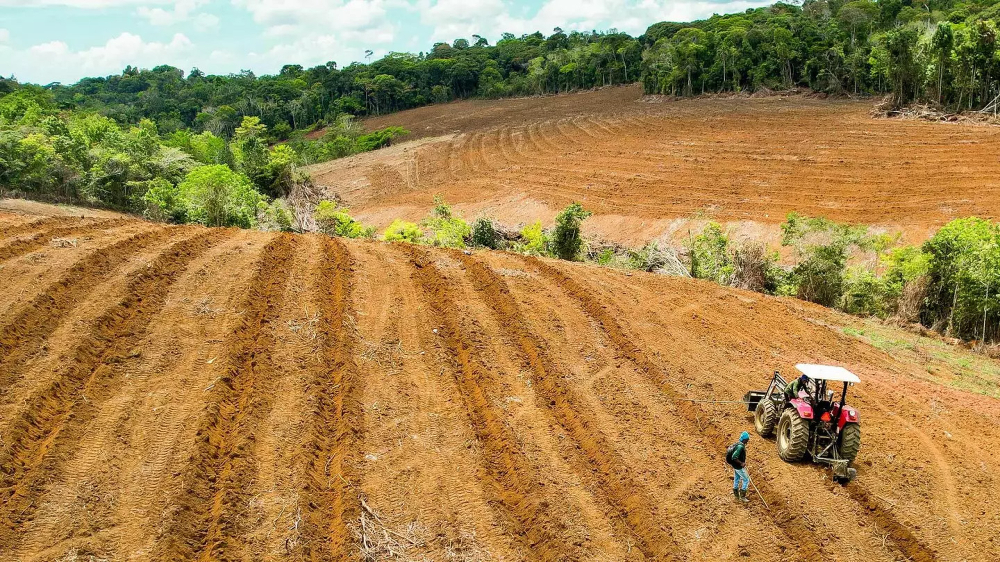 An image illustrating the Amazon sustainability project described above