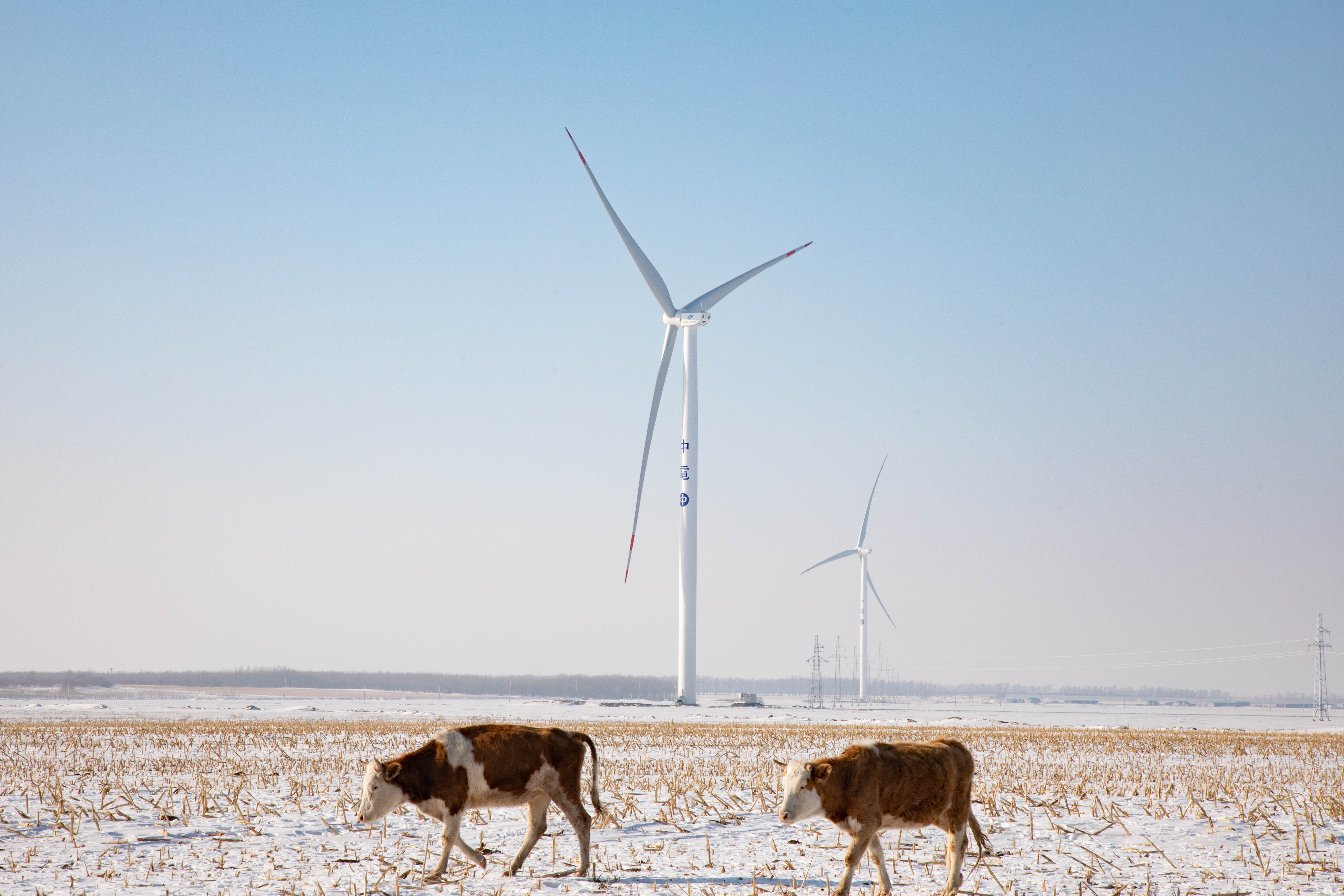 An image of a wind farm in China