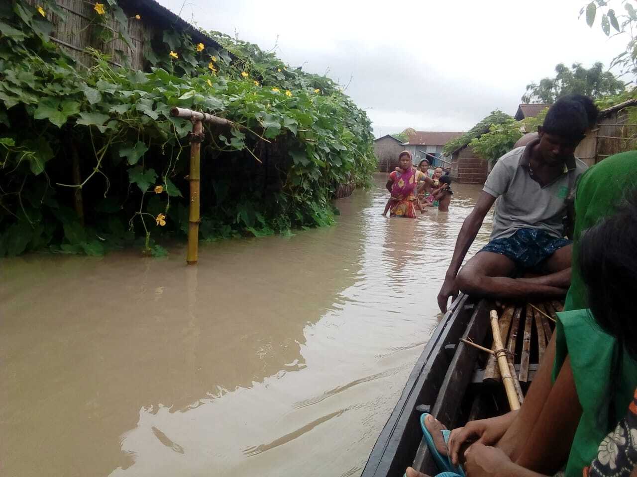 Floods in Bihar and Assam
