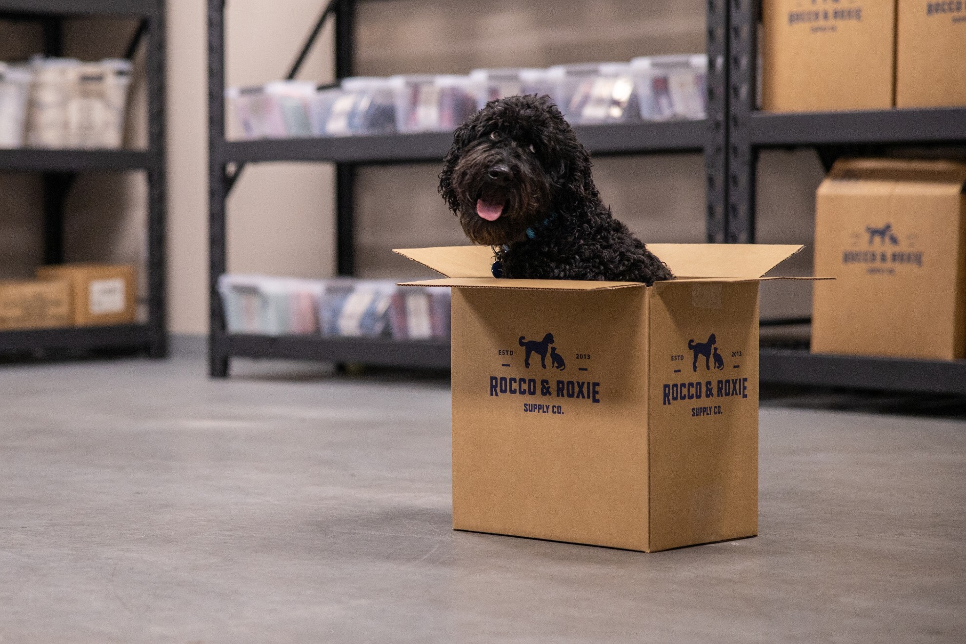 A medium sized black doodle dog sits in a Rocco & Roxie box smiling.