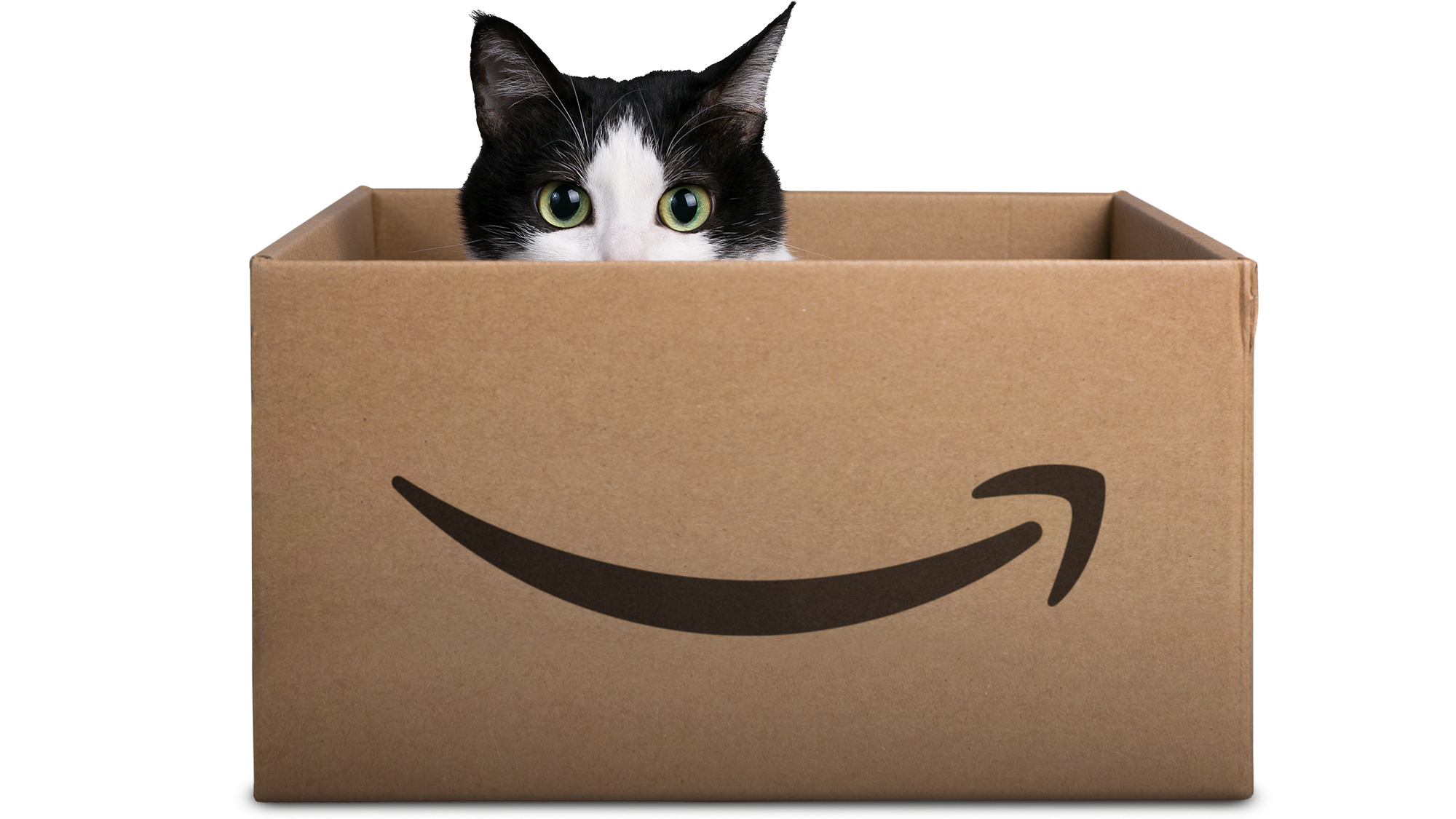 A cat peers out of a carboard box with an Amazon logo on the front