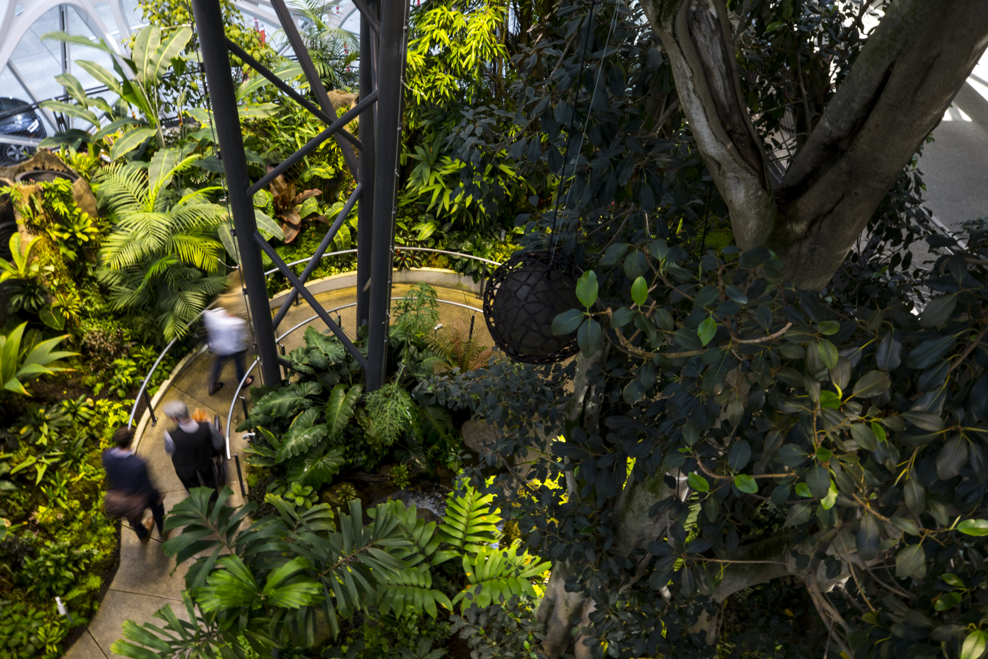 Visitors explore The Spheres