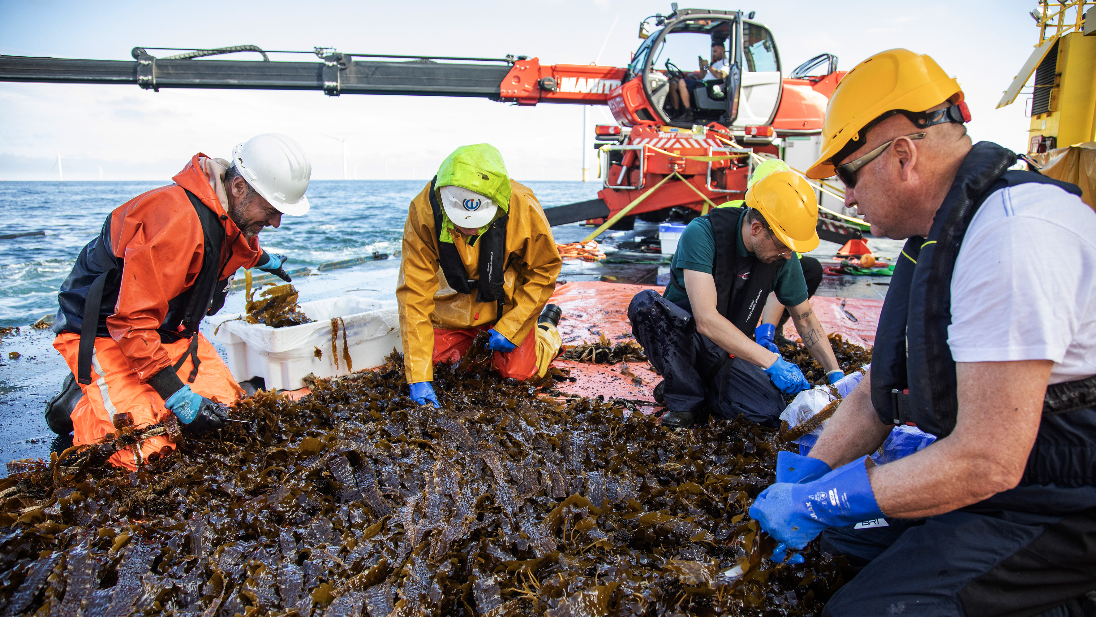 Marine researchers examining seaweed samples on boat deck