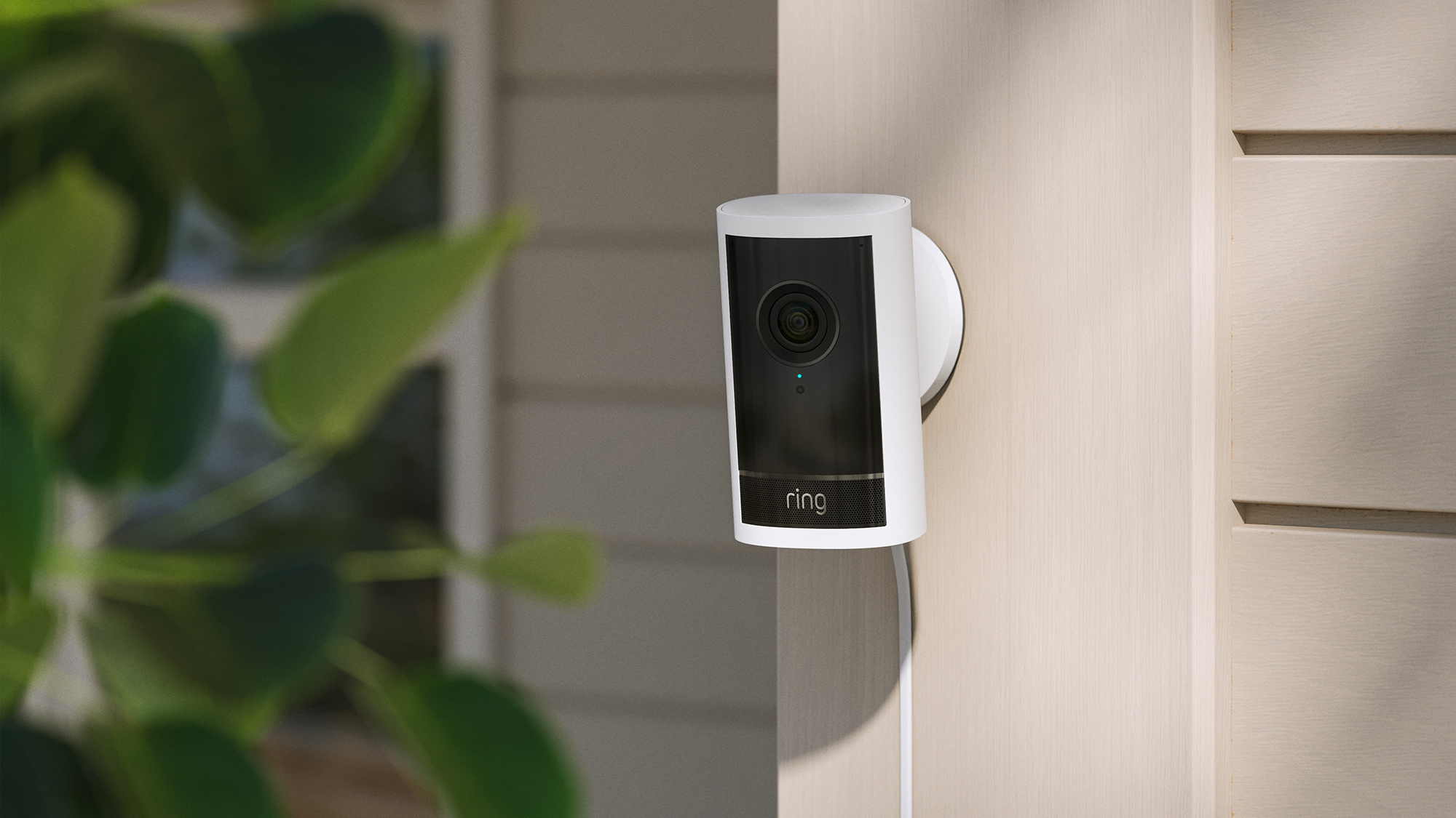 Ring video doorbell mounted on exterior wall near greenery

