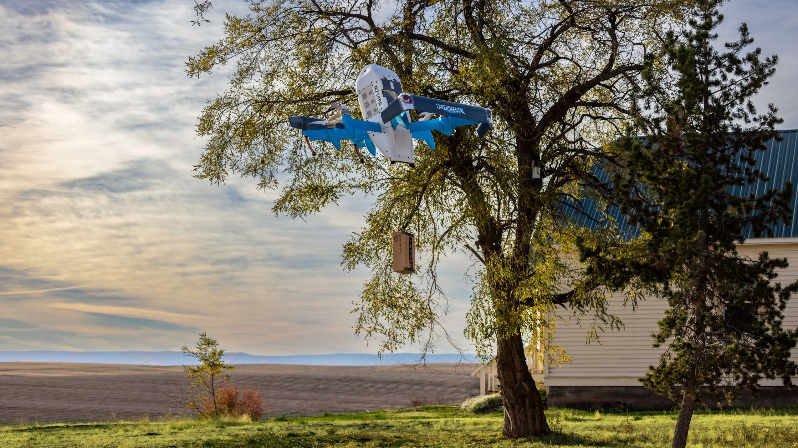 Amazon Prime Air drone flying past large tree in countryside