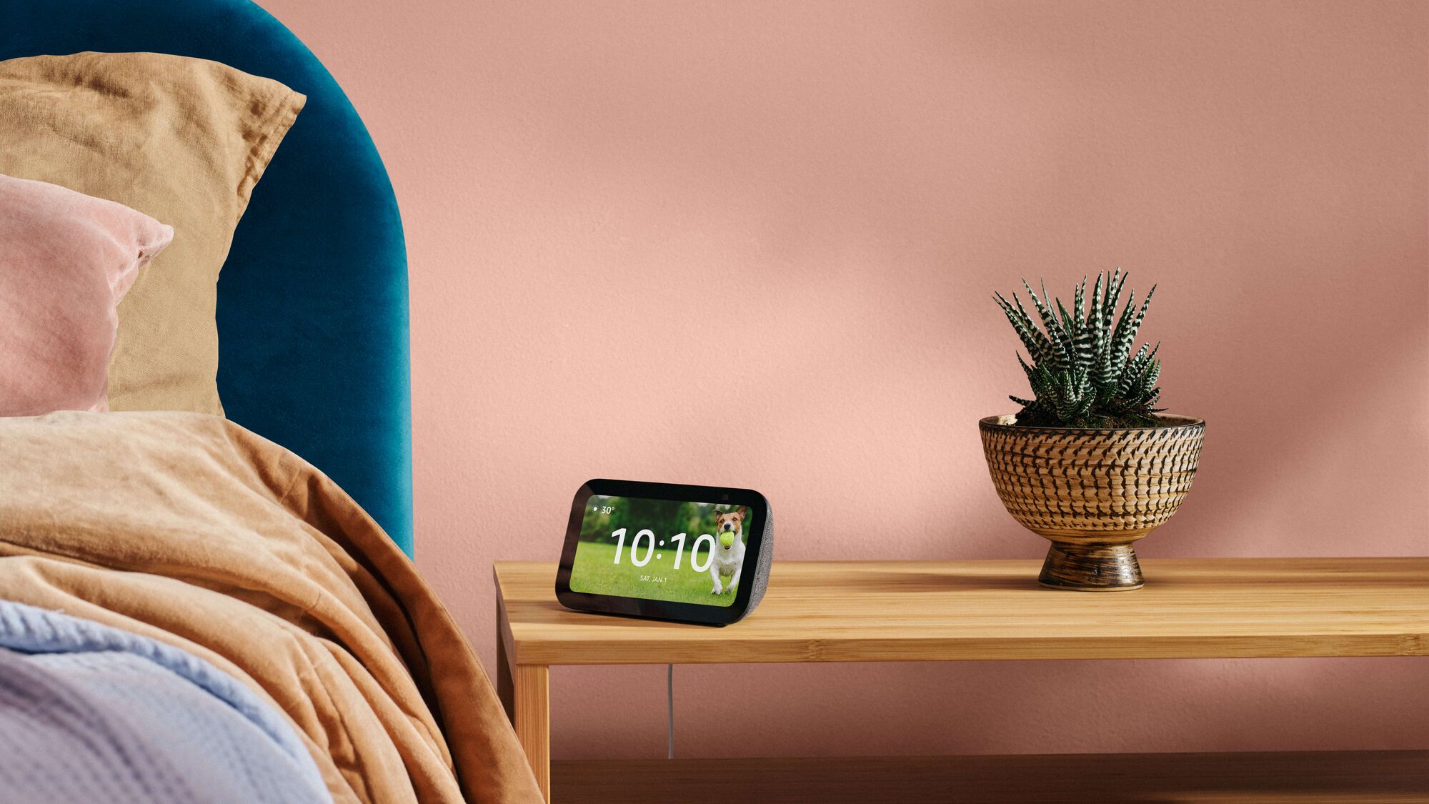 Amazon Echo Show on bedside table next to succulent plant and colorful bedding