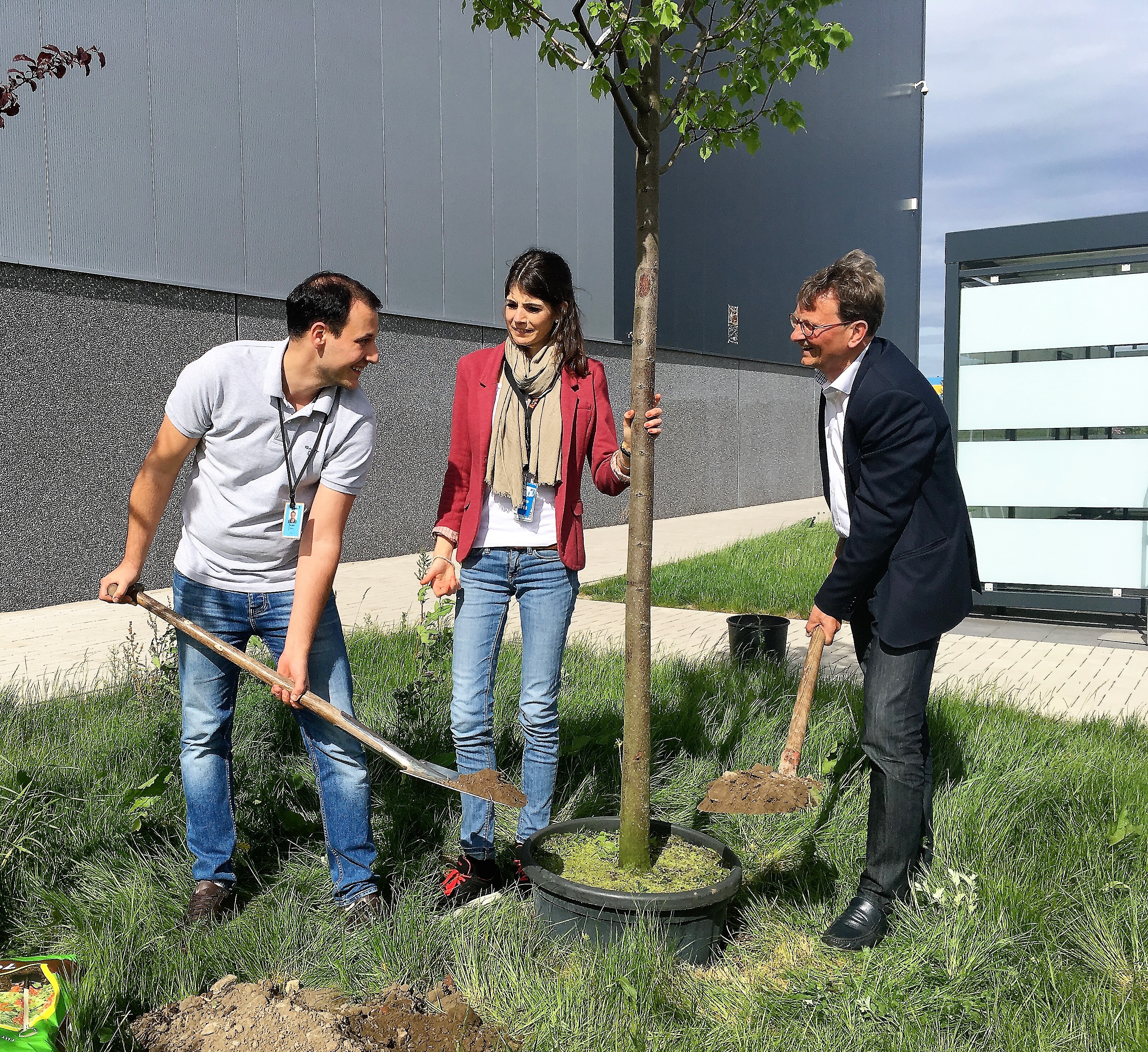 2 Männer und eine Frau beim Pflanzen eines Baumes