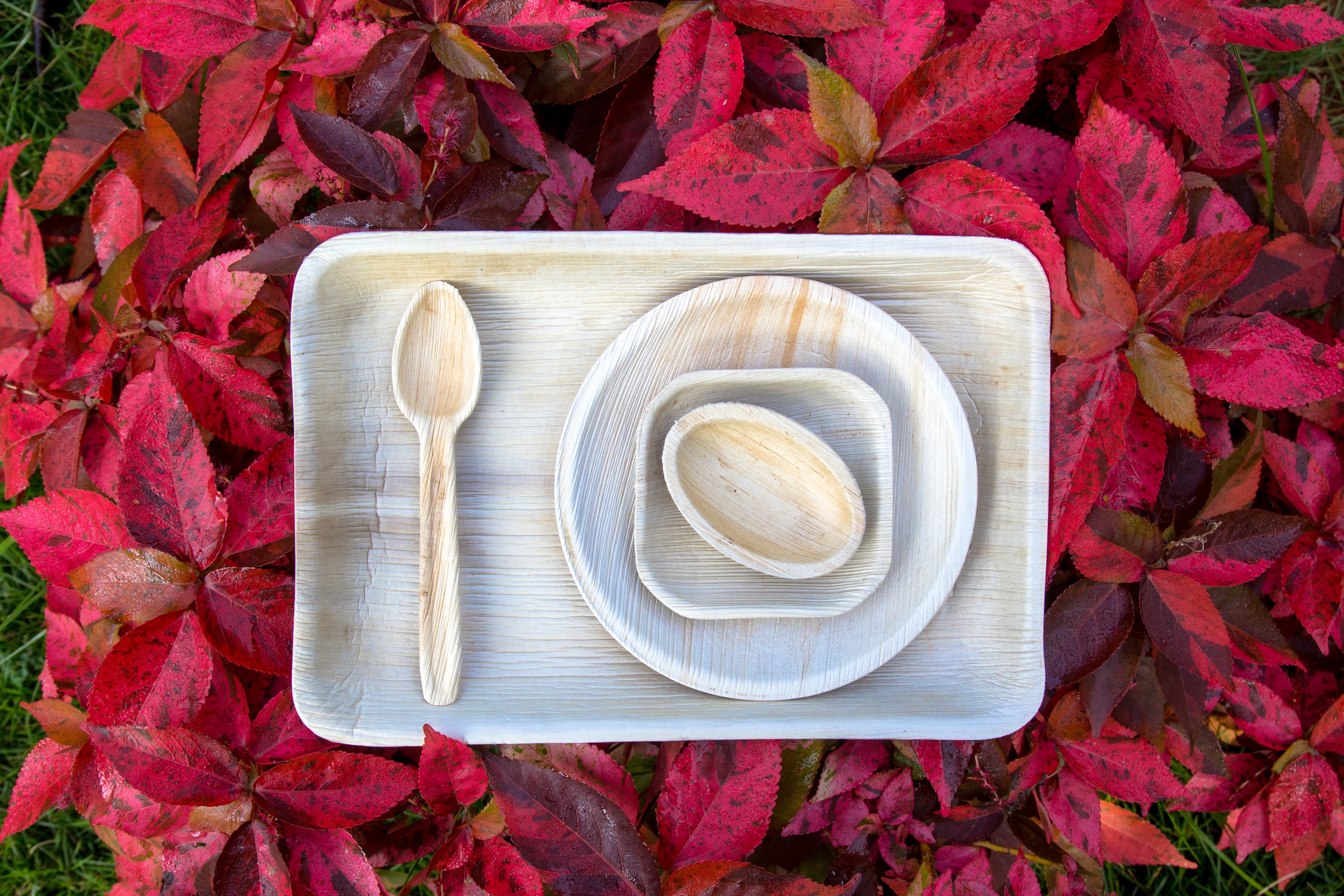 Eco friendly dinner ware