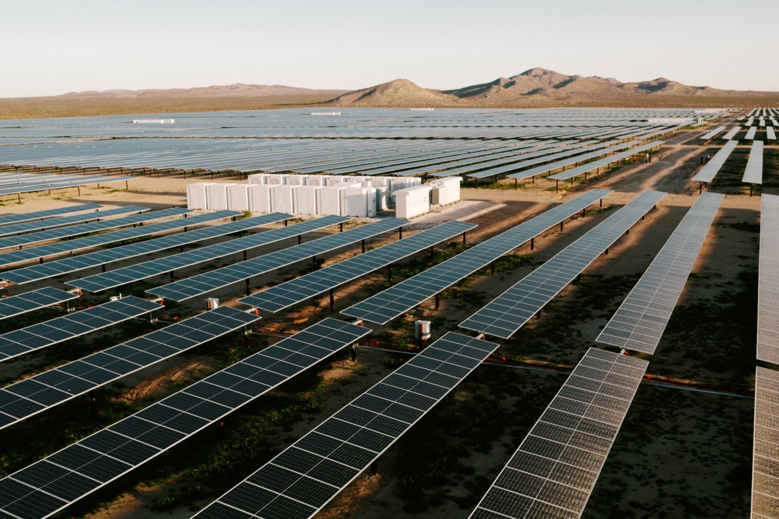 An image of Amazon's solar panels at the Baldy Mesa solar farm.
