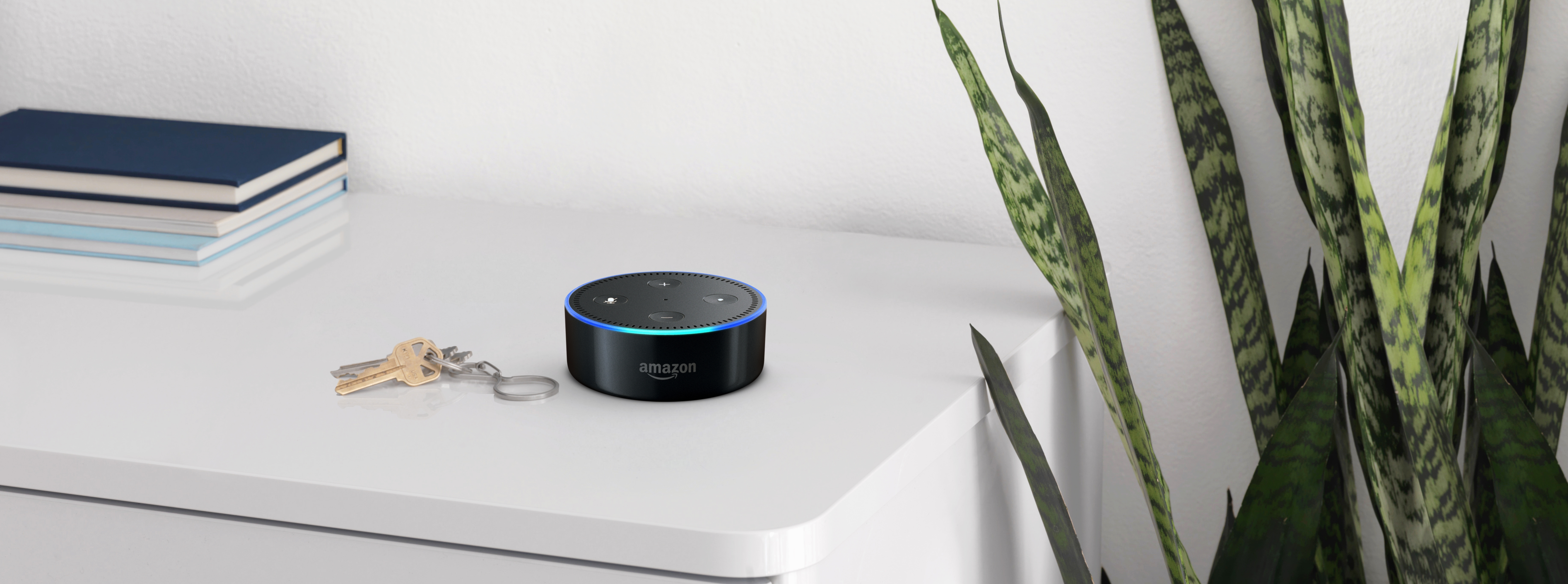 A black Amazon Echo dot on a shelf, next to a set of car keys. Books and a green plant are in the background.