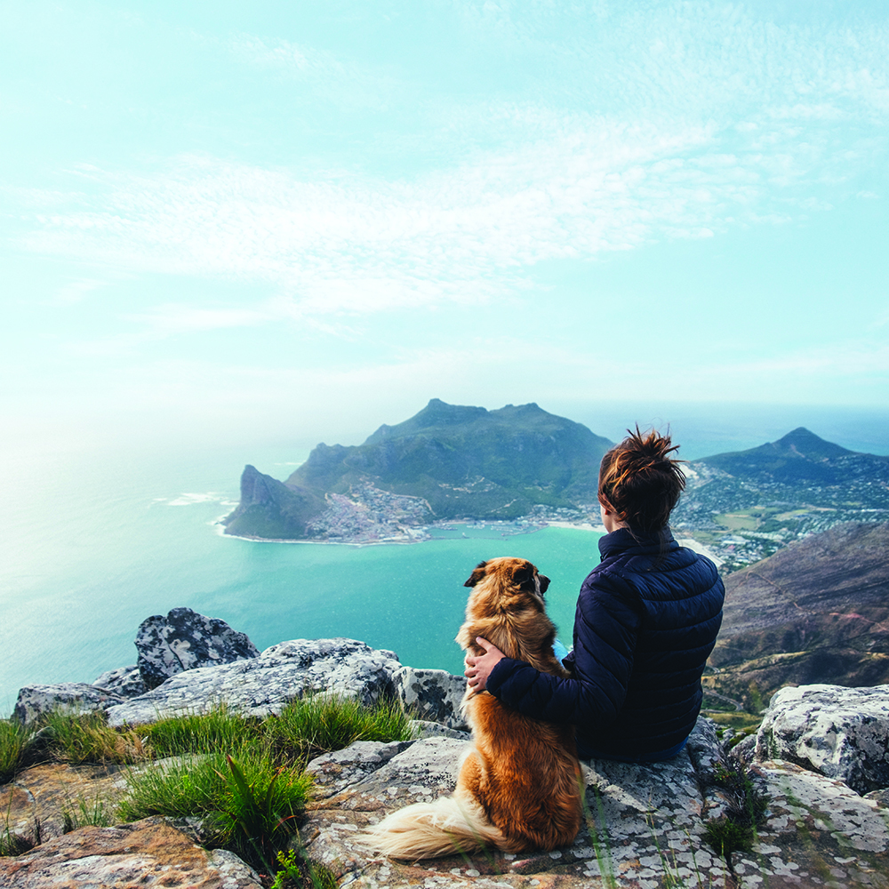 A dog and female owner sitting on a ledge, overlooking an ocean with rock and peninsula outcropping.