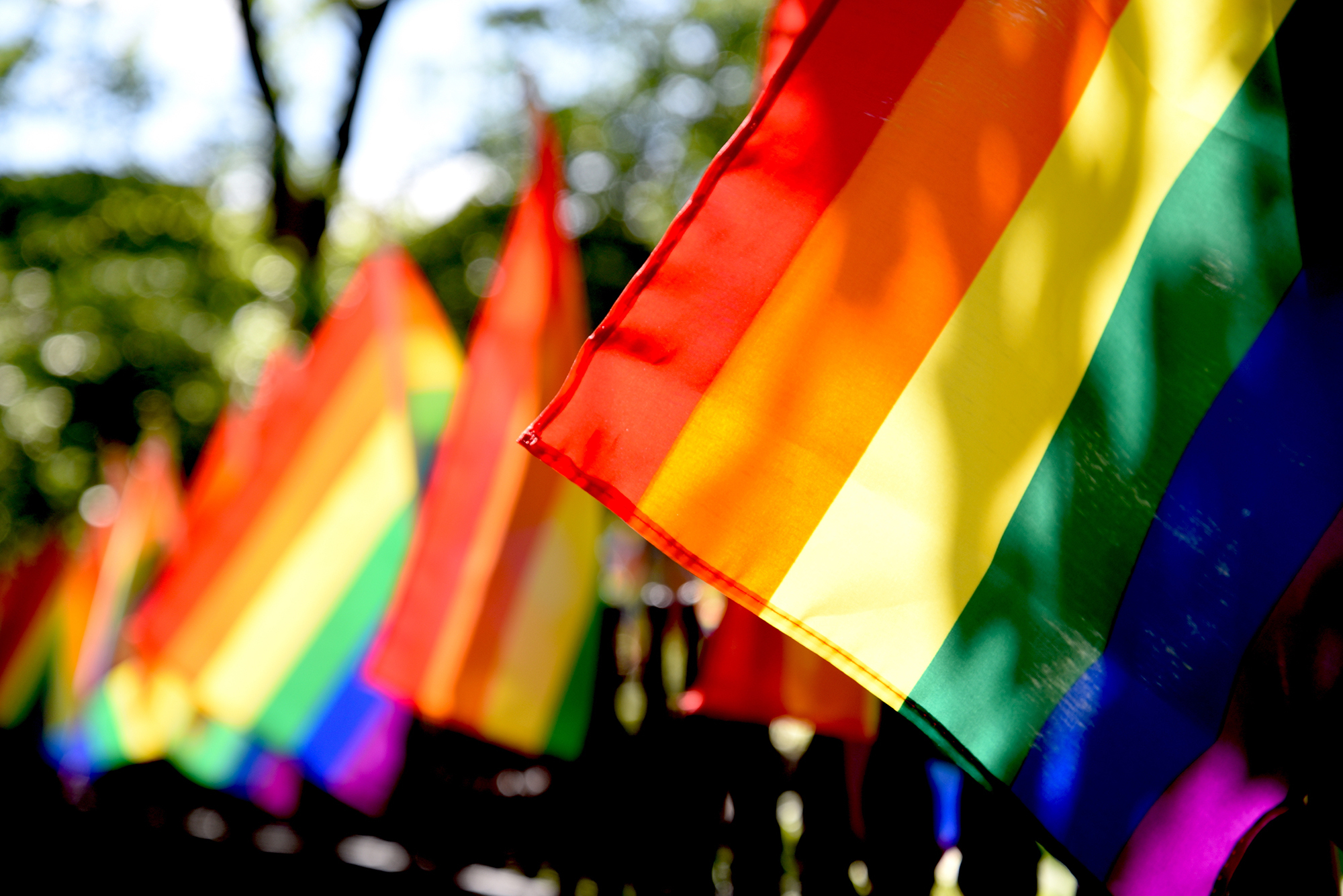 Pride flags in a light breeze