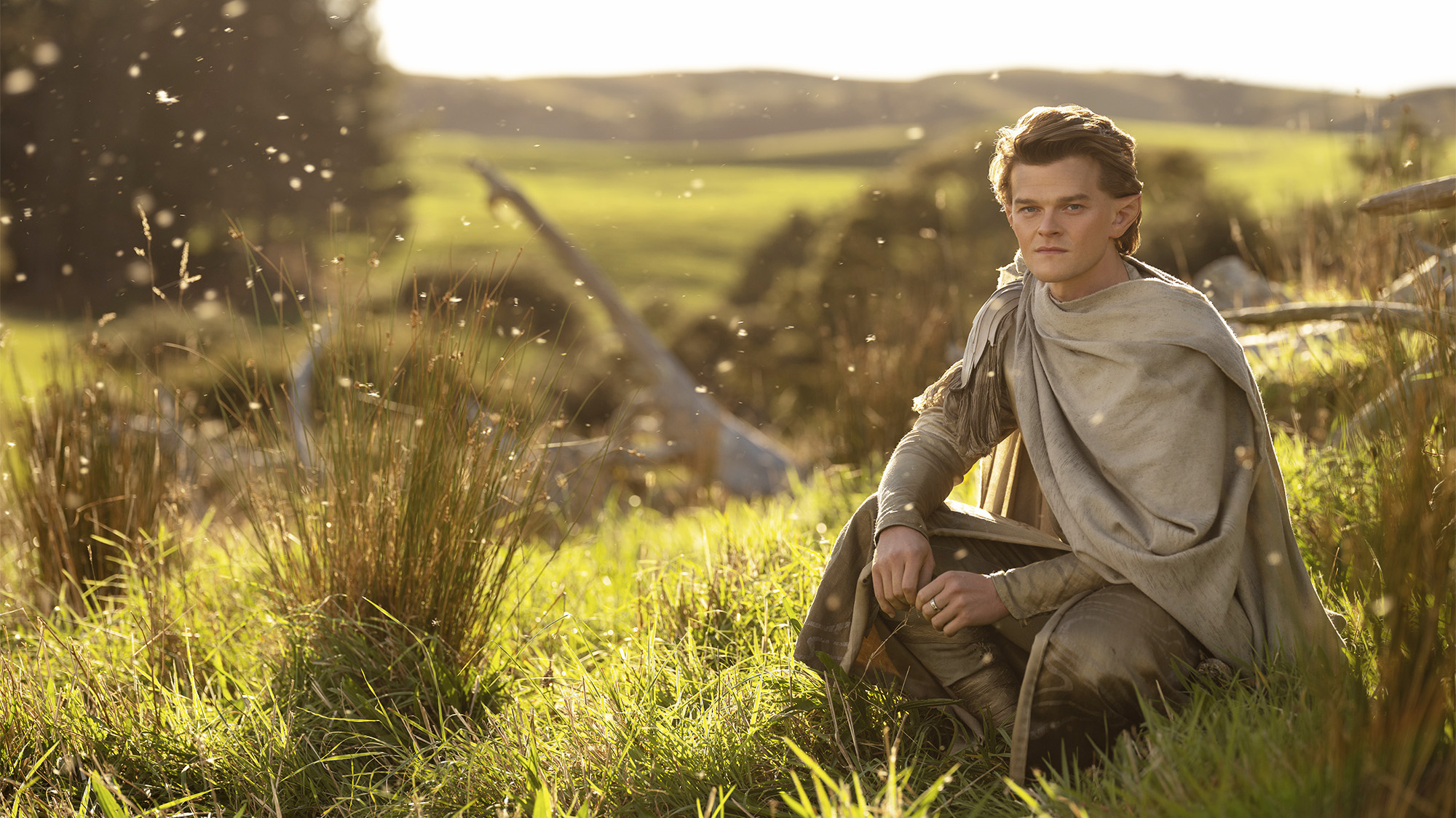 An elf-like character sits in a sunny, grassy field.