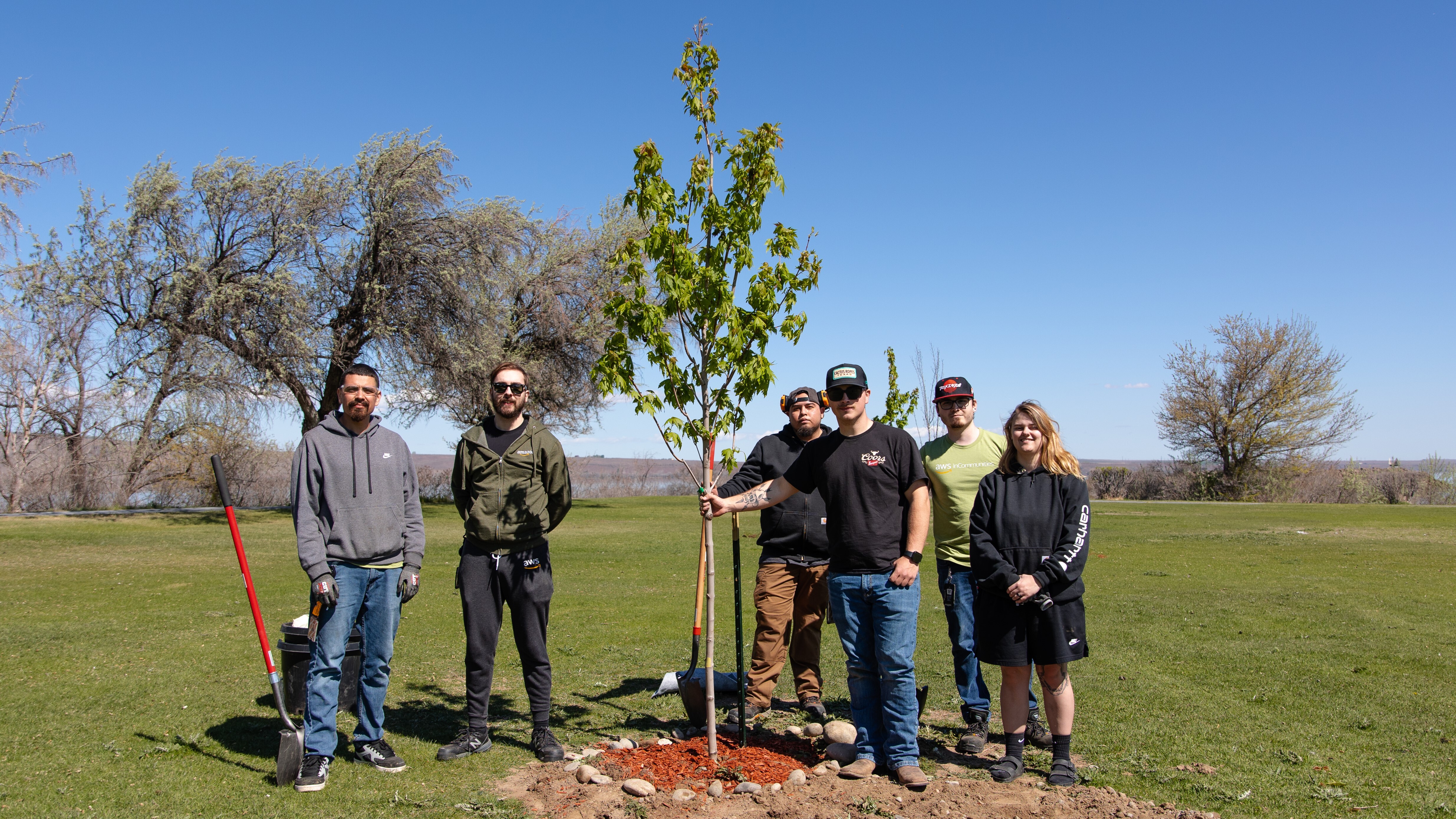 An image of a group of people standing by a newly planted tree.