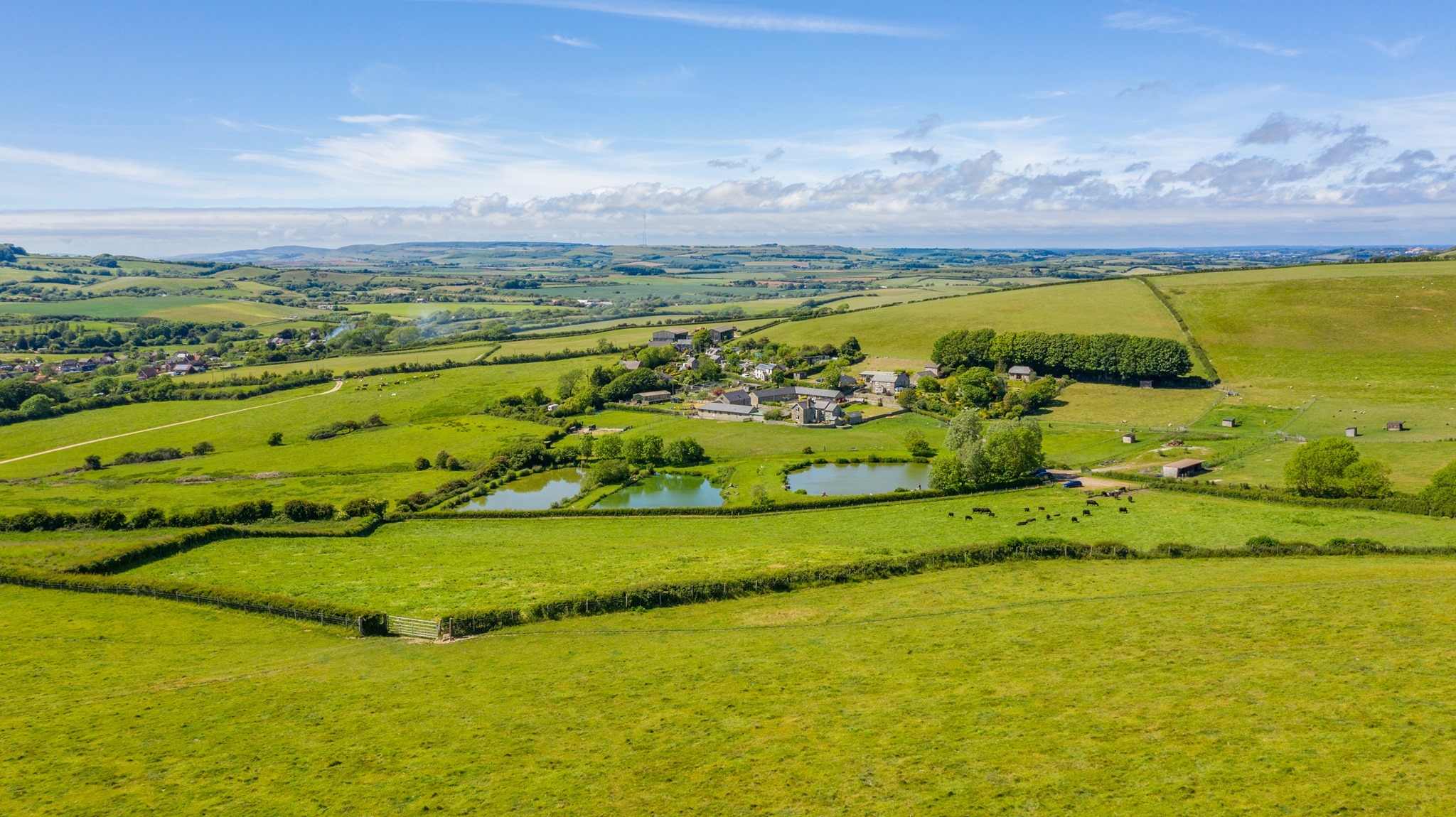 A wide shot of the grassy fields at Nettlecombe Farm