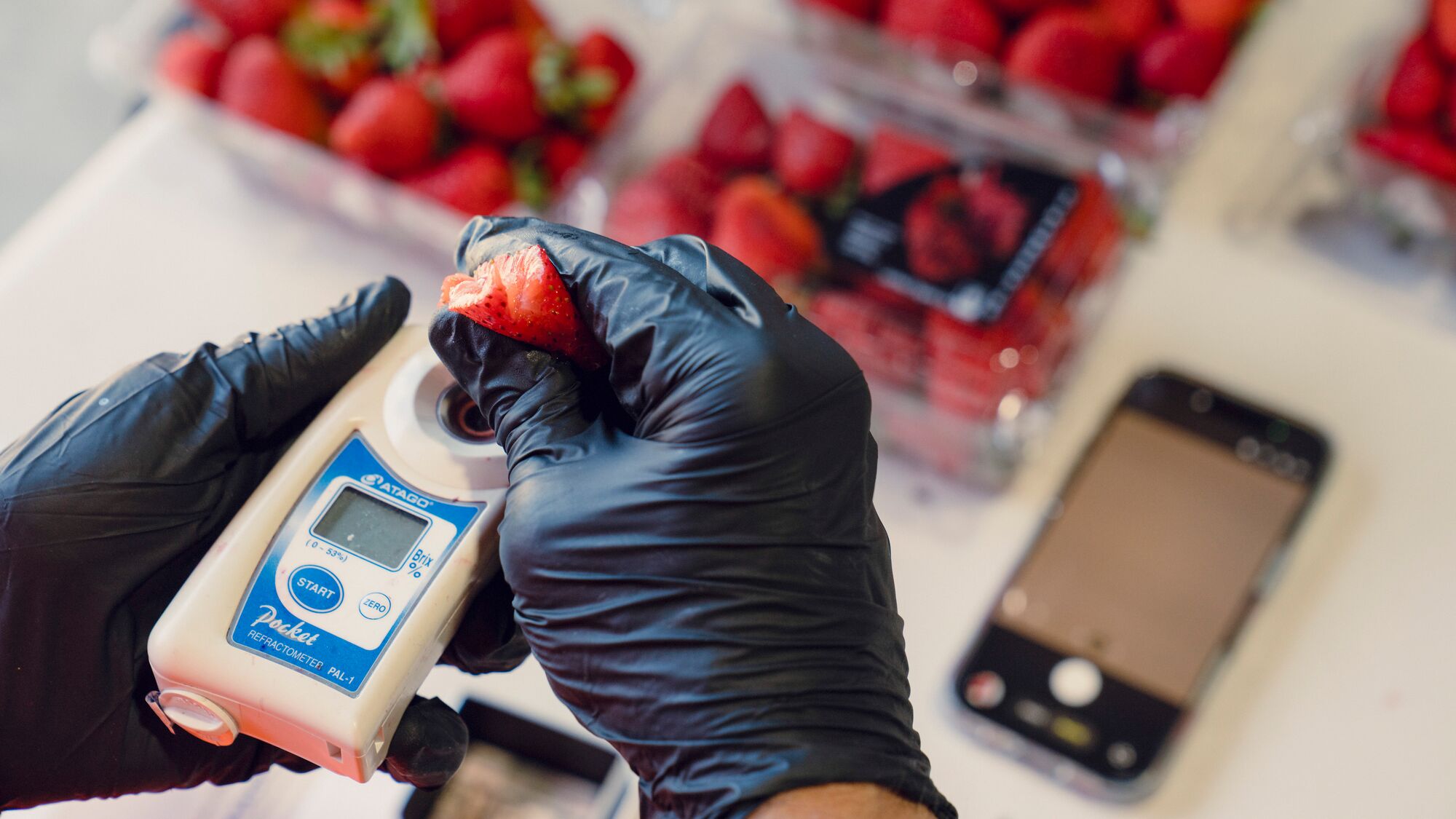 An Amazon employee inspecting the health and safety of strawberries