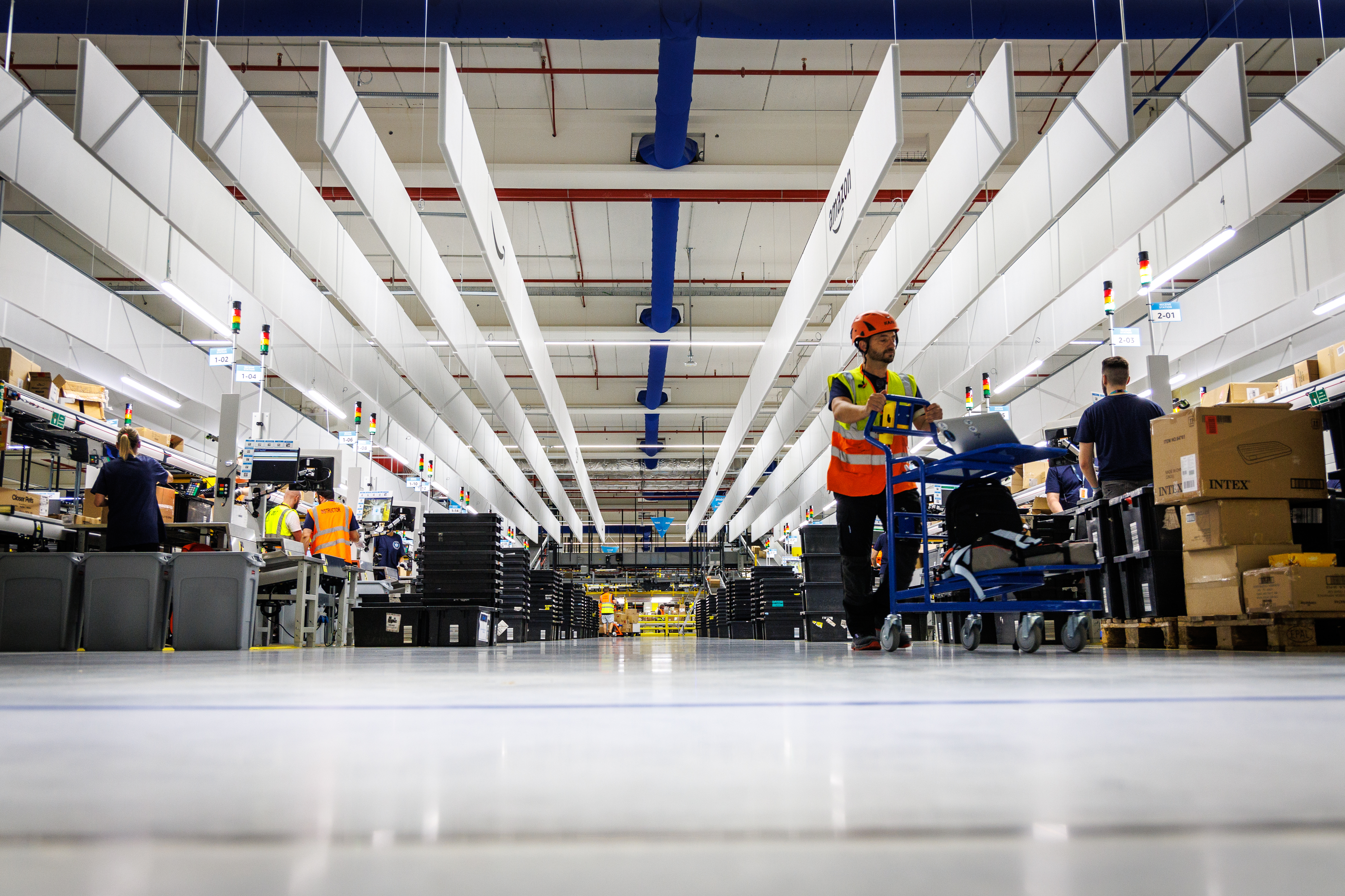 Logo Top Employer 2026