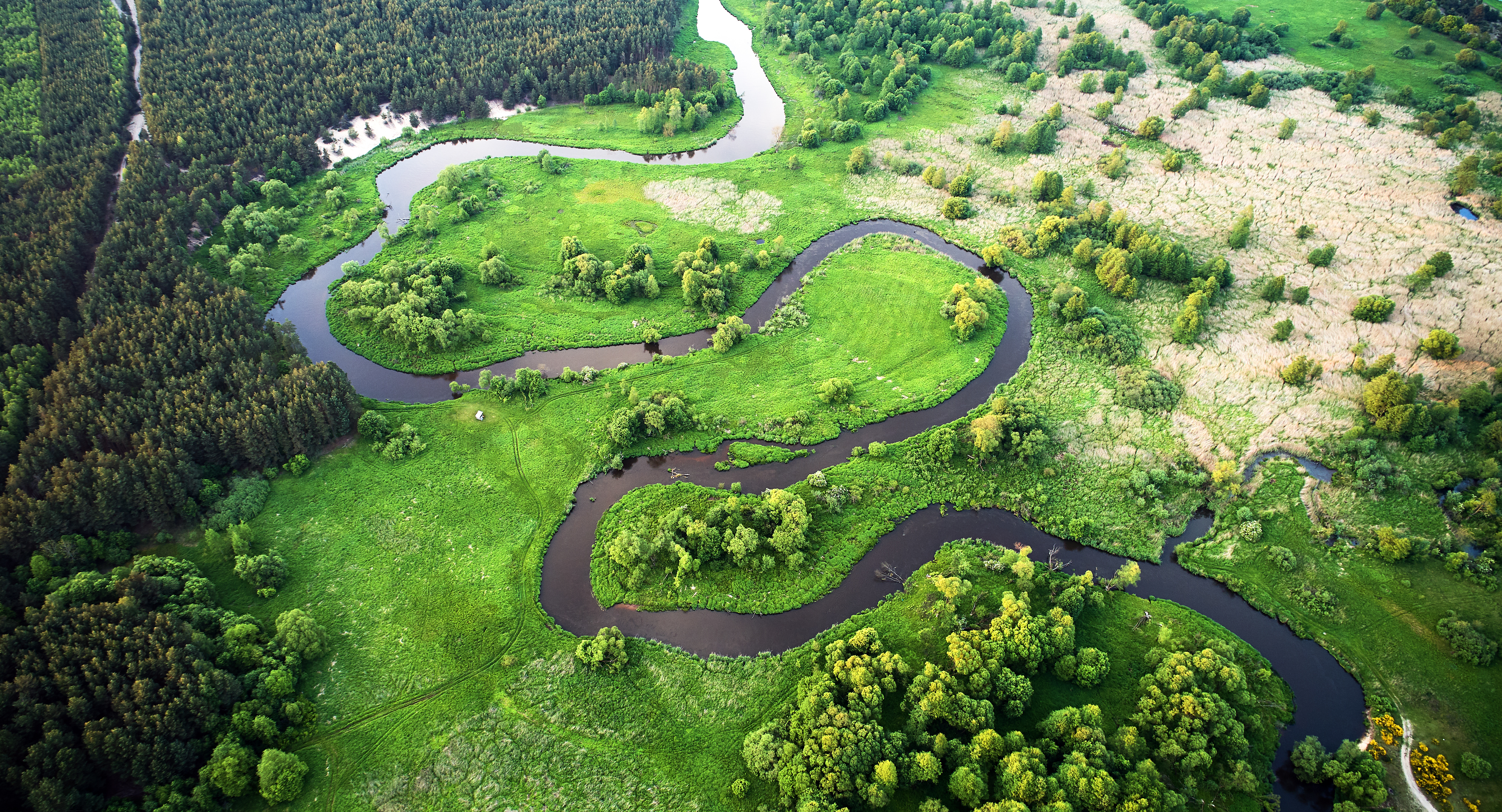 Aerial landscape wild river in summer