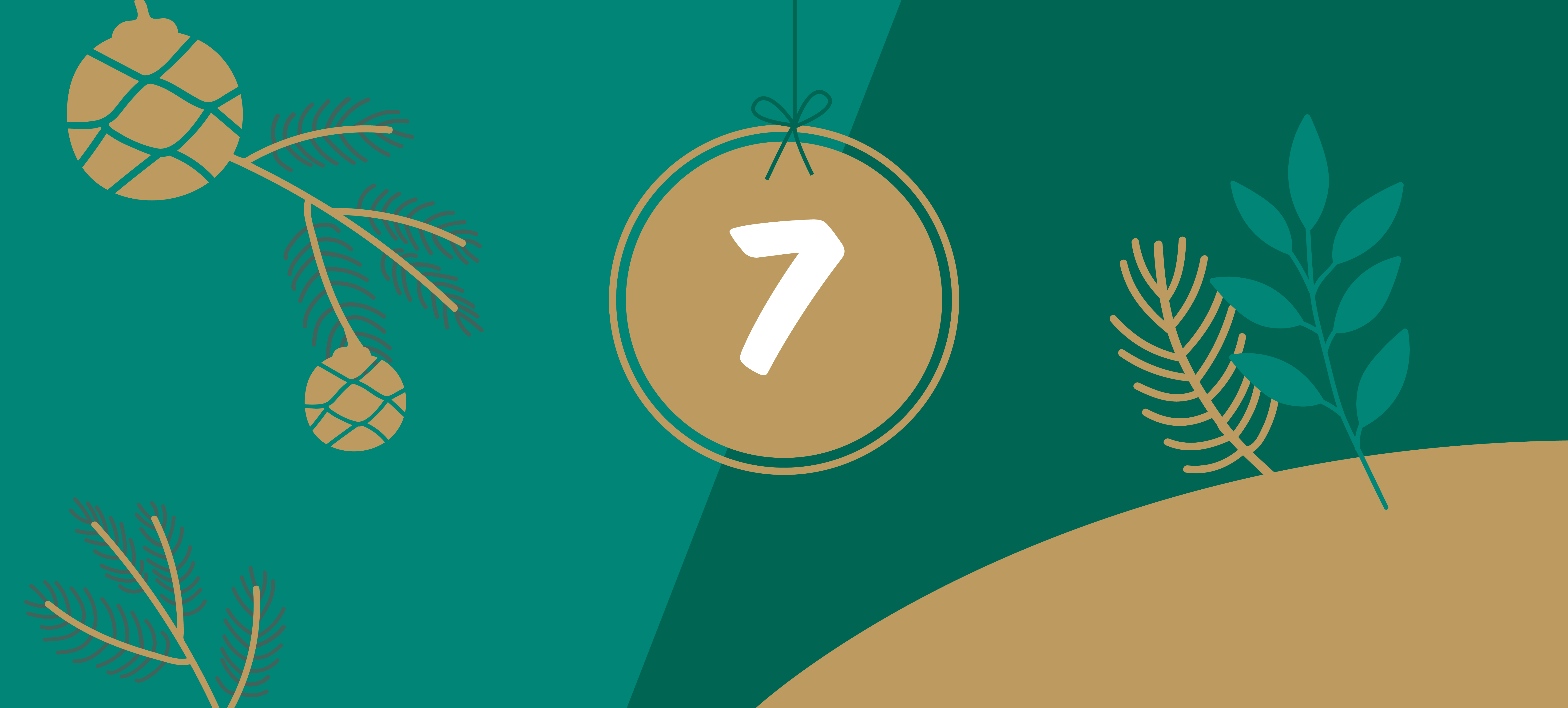 7. Dezember Türchen Artikel