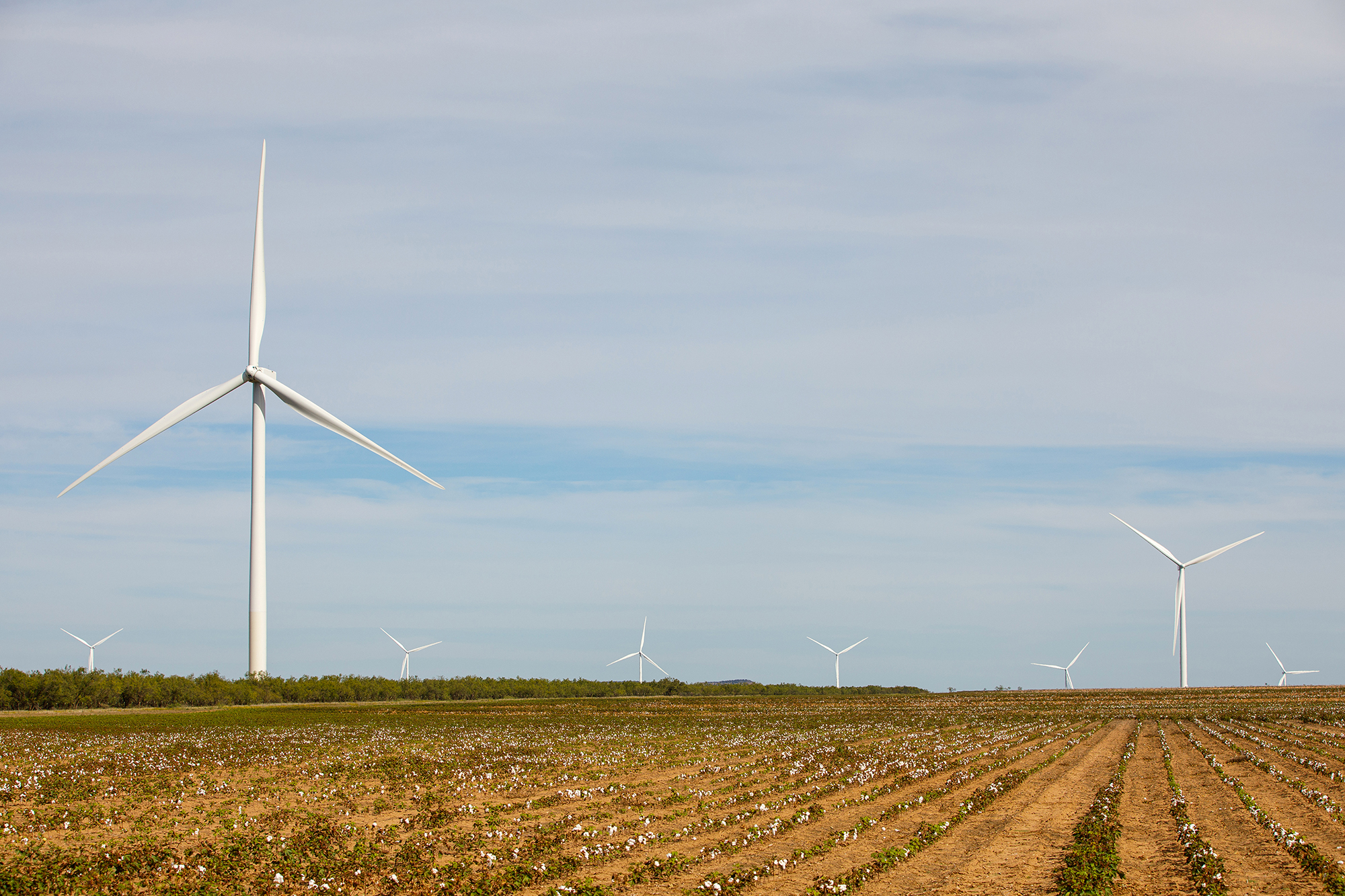 Amazon Wind Farm in Texas.