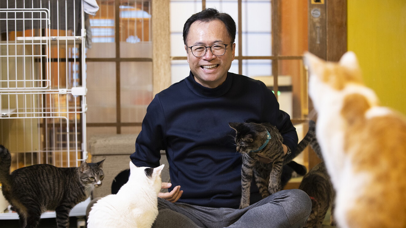 和風の室内で、あぐらをかいた男性が複数の猫に囲まれて笑顔を見せている。背後に白いケージ。猫はサバトラが3匹、白と黒、茶色と白が1匹ずつ見える。