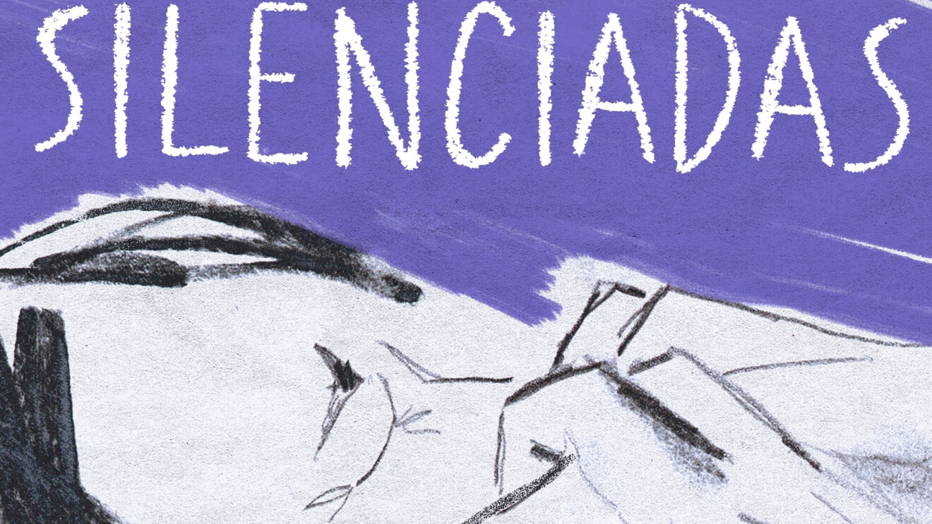 Capa - Silenciadas2