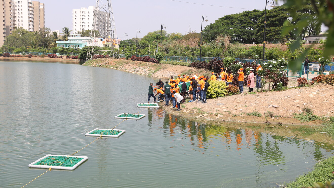 Group cleaning polluted urban lake with floating plant platforms in India