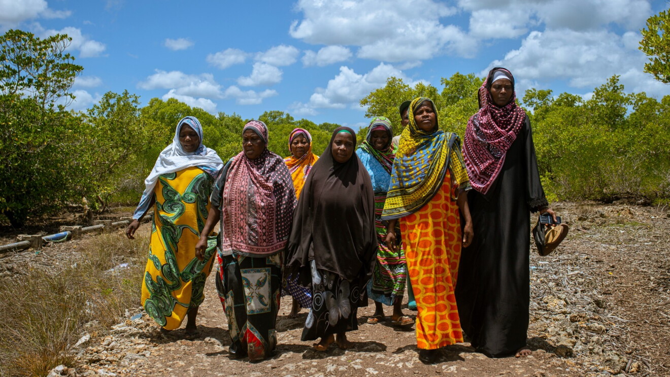Women of Zanzibar walk alongside one another outside.
