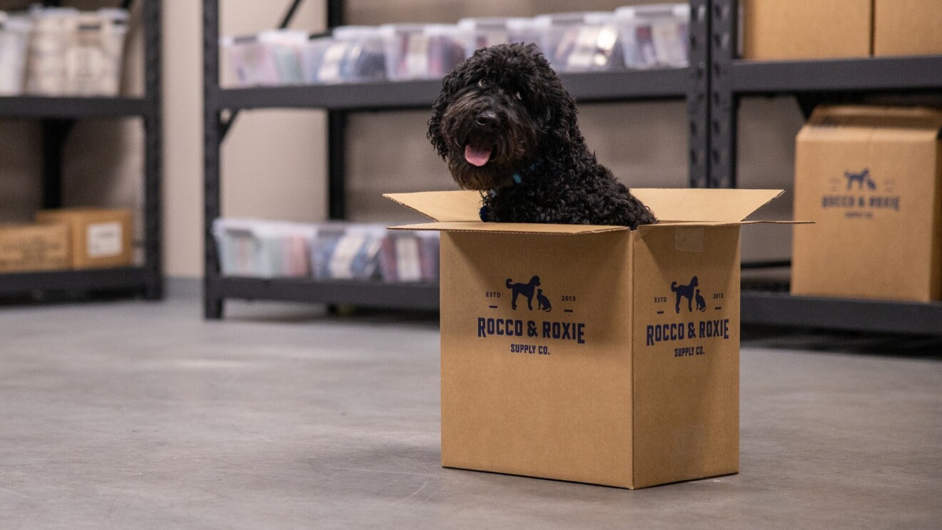 中等大小的黑色涂鸦狗坐在罗科&洛克希微笑。