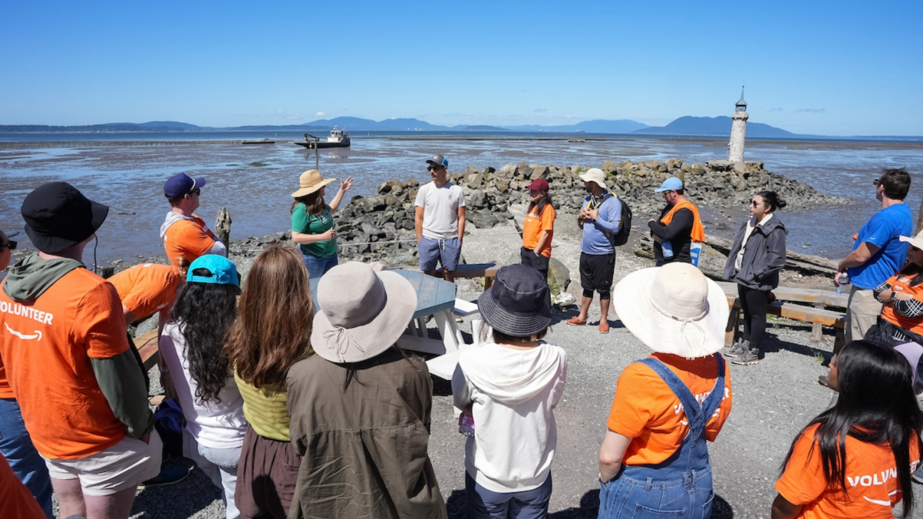 Volunteers gather at a rocky coastal tidal zone