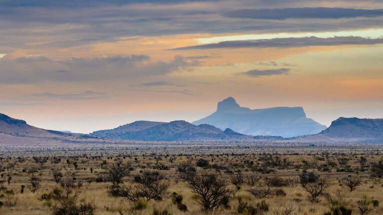 A desert valley with plateaus in the horizon.