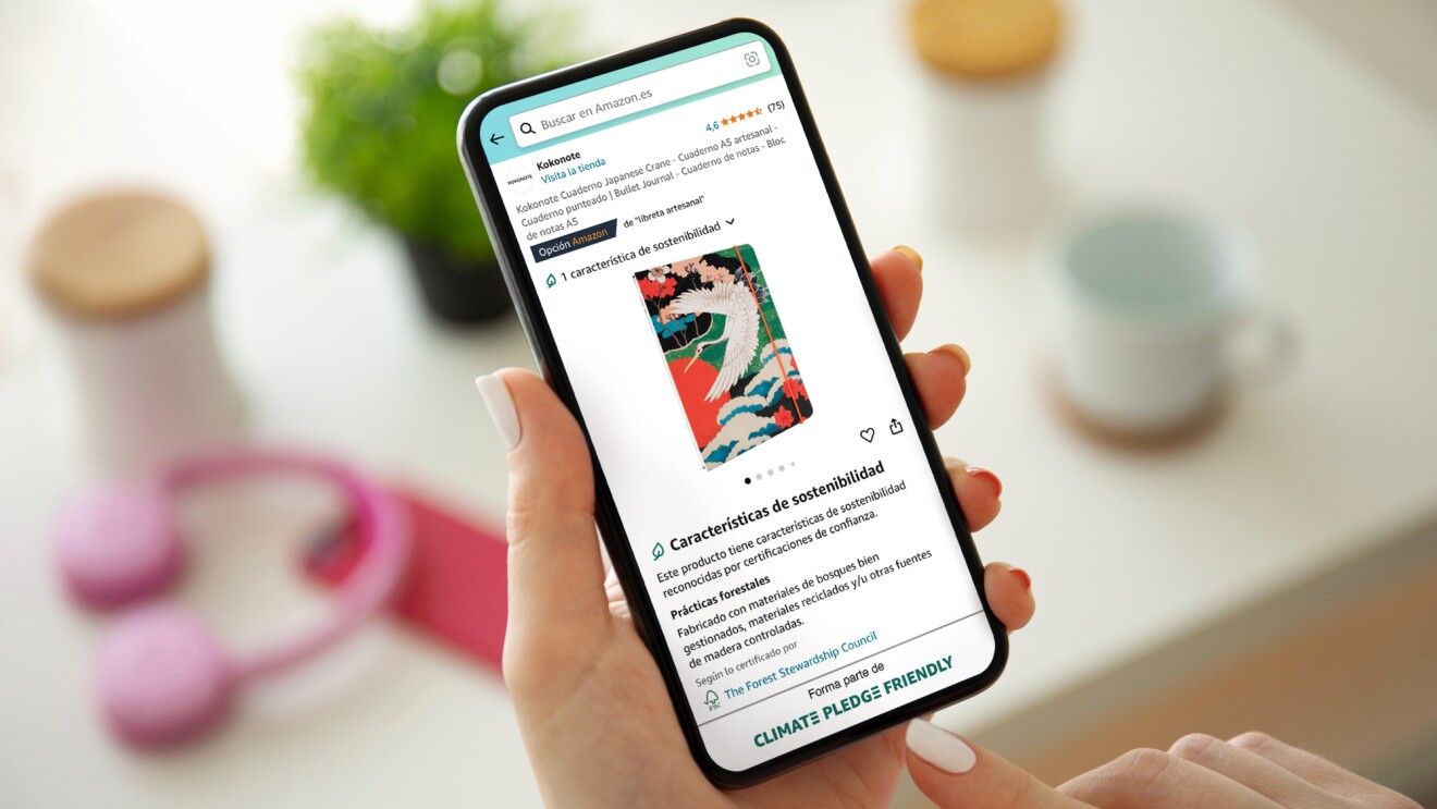CPF ES estudio compra sostenible imagen móvil