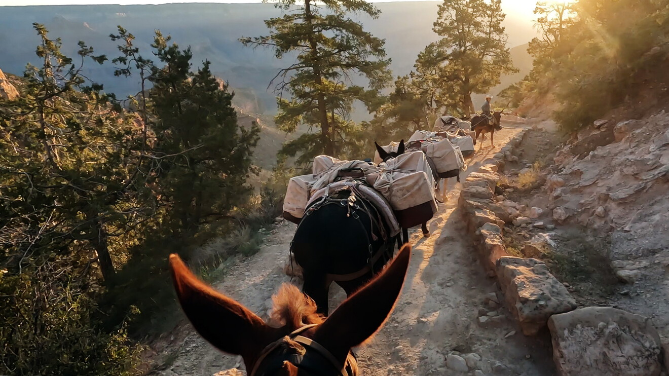 Watch how Amazon delivers to customers at the bottom of the Grand Canyon