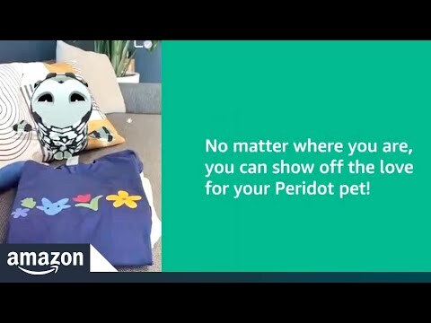 Introducing the New Immersive Shopping Experience for Video Games | Amazon News