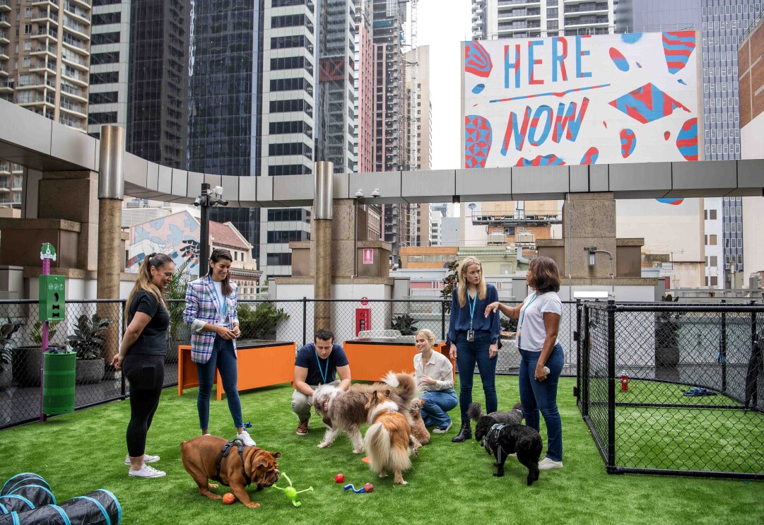 Amazonians with their dogs at the Sydney dog playground