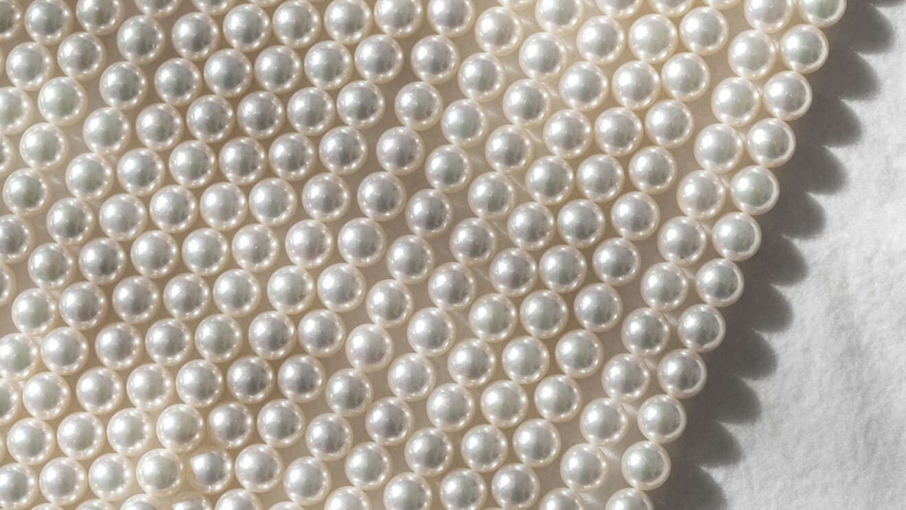 糸が通された状態で並ぶ真珠。微妙に色が異なっている