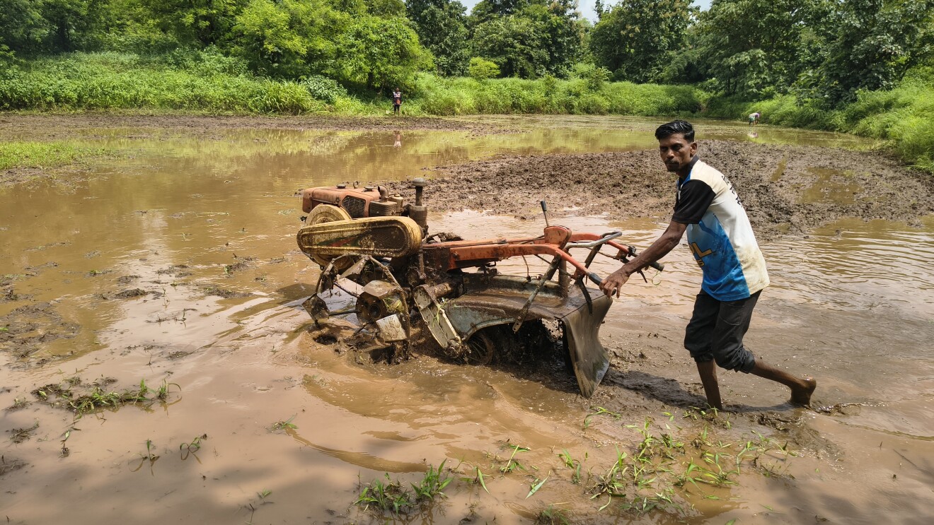 Amazon commits ₹37 crore to restore 3 billion litres of water annually across India
