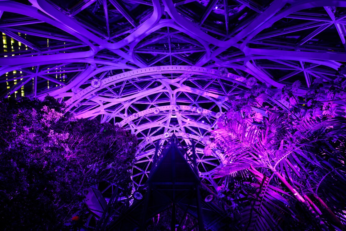 The Spheres glow purple, marking 100 days until the Special Olympics