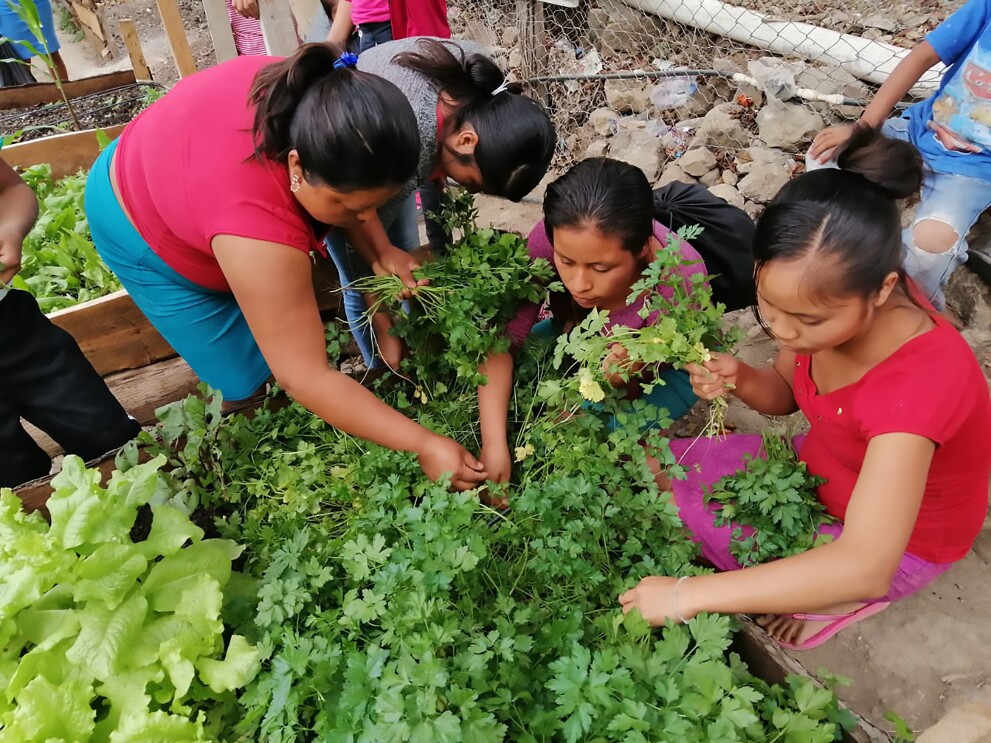 Trabajadores del proyecto Tierra Fértil