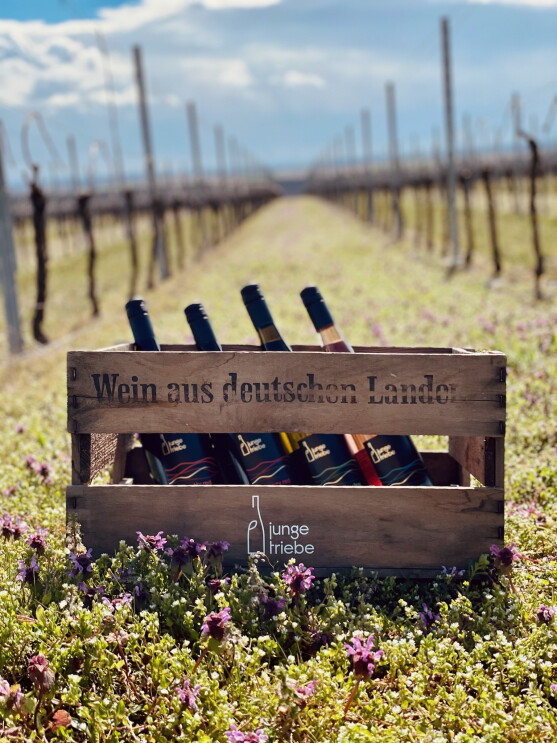 Online-Handel mit Amazon: So erreichen Wein-Fans aus Rheinland-Pfalz neue Kundschaft