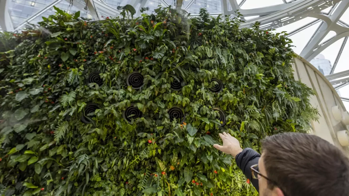 メガネをかけた男性は植物壁に丸いベントを指差している。