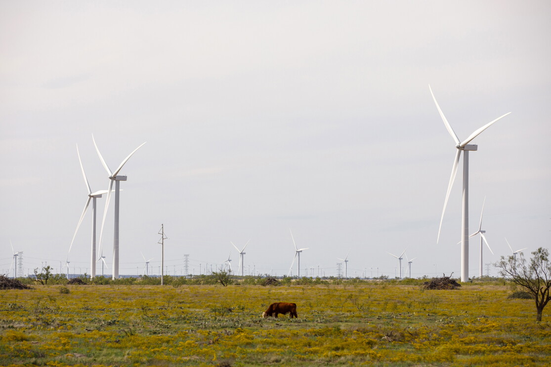A collection of wind turbines in one of  Amazon's wind farms