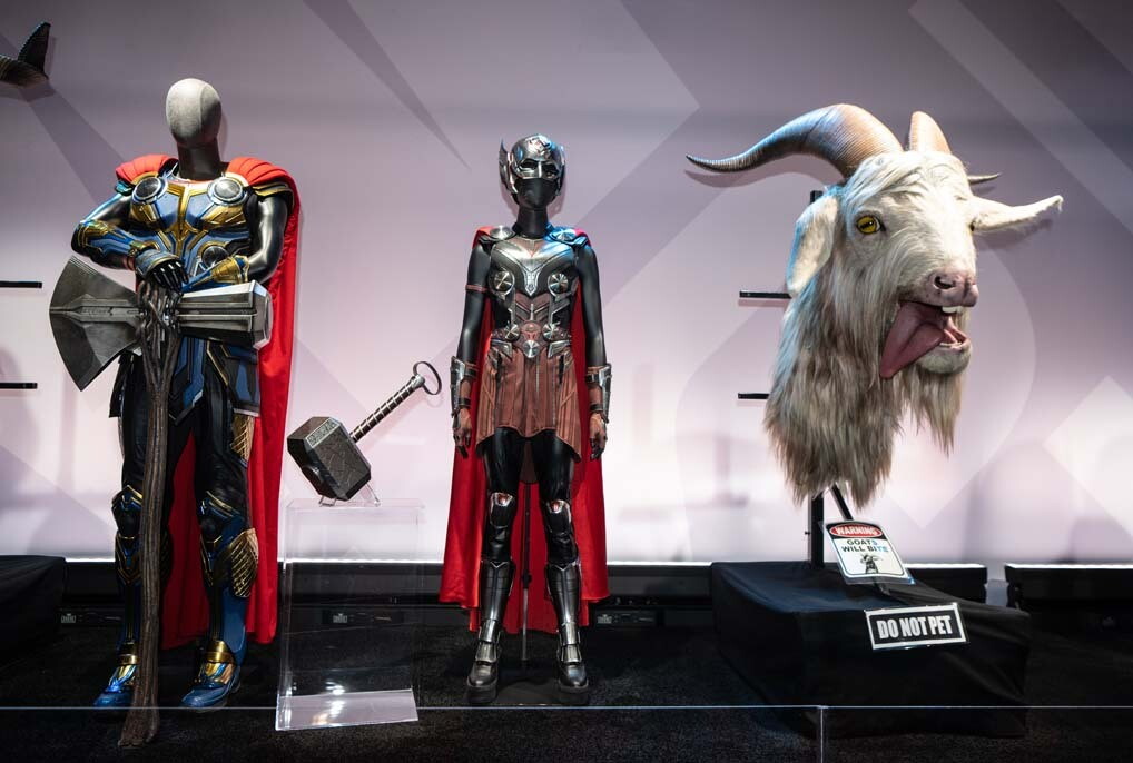 An image from the D23 fan expo show floor