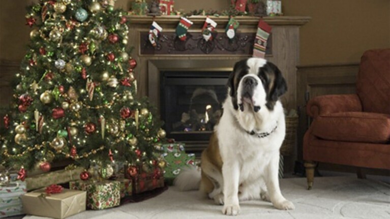 Beethoven’s Christmas Adventure