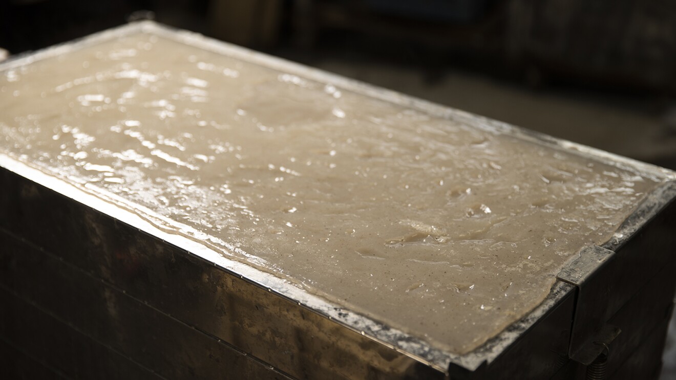 出来立てのこんにゃくの写真