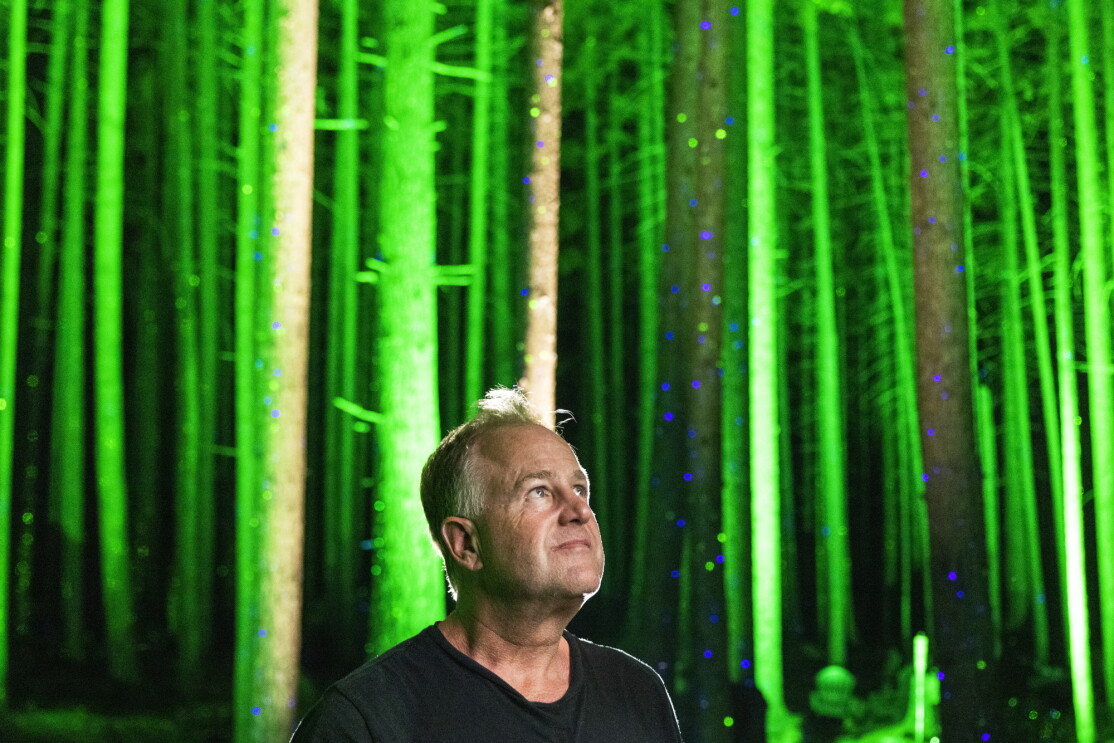 Flanked by a forest lit up in green and blue, a man looks up.