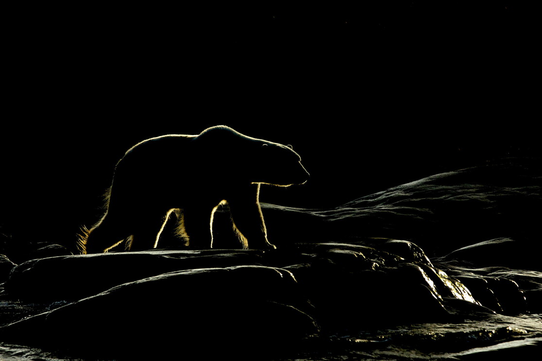 play of light 5