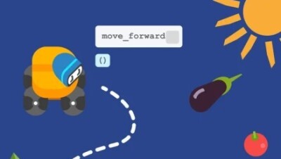 Cursos de formación de Amazon: Python Courses