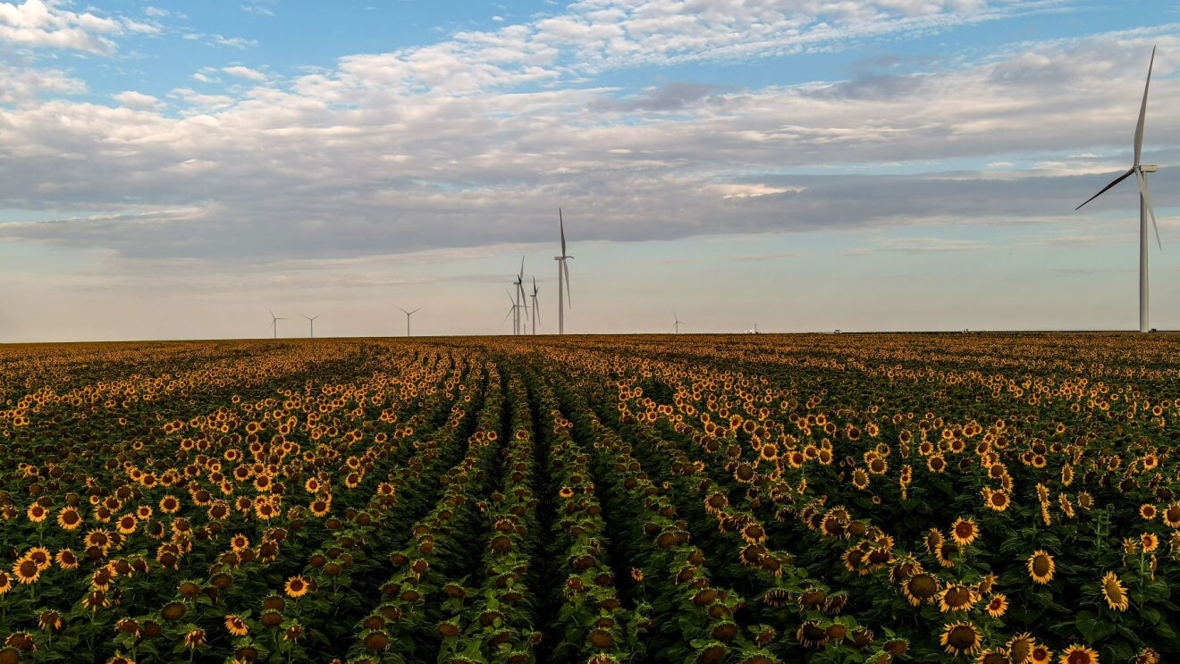SAM_NextEr a_GreatPrairie_12.jpg
