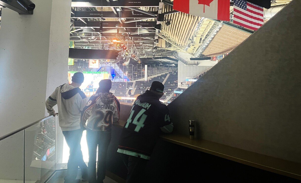 An image of the stadium feature described below